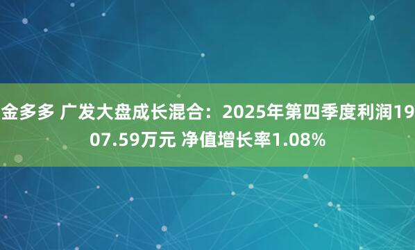 金多多 广发大盘成长混合：2025年第四季度利润1907.59万元 净值增长率1.08%
