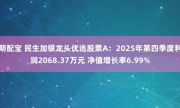 期配宝 民生加银龙头优选股票A：2025年第四季度利润2068.37万元 净值增长率6.99%