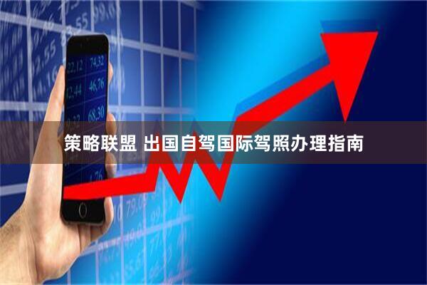 策略联盟 出国自驾国际驾照办理指南